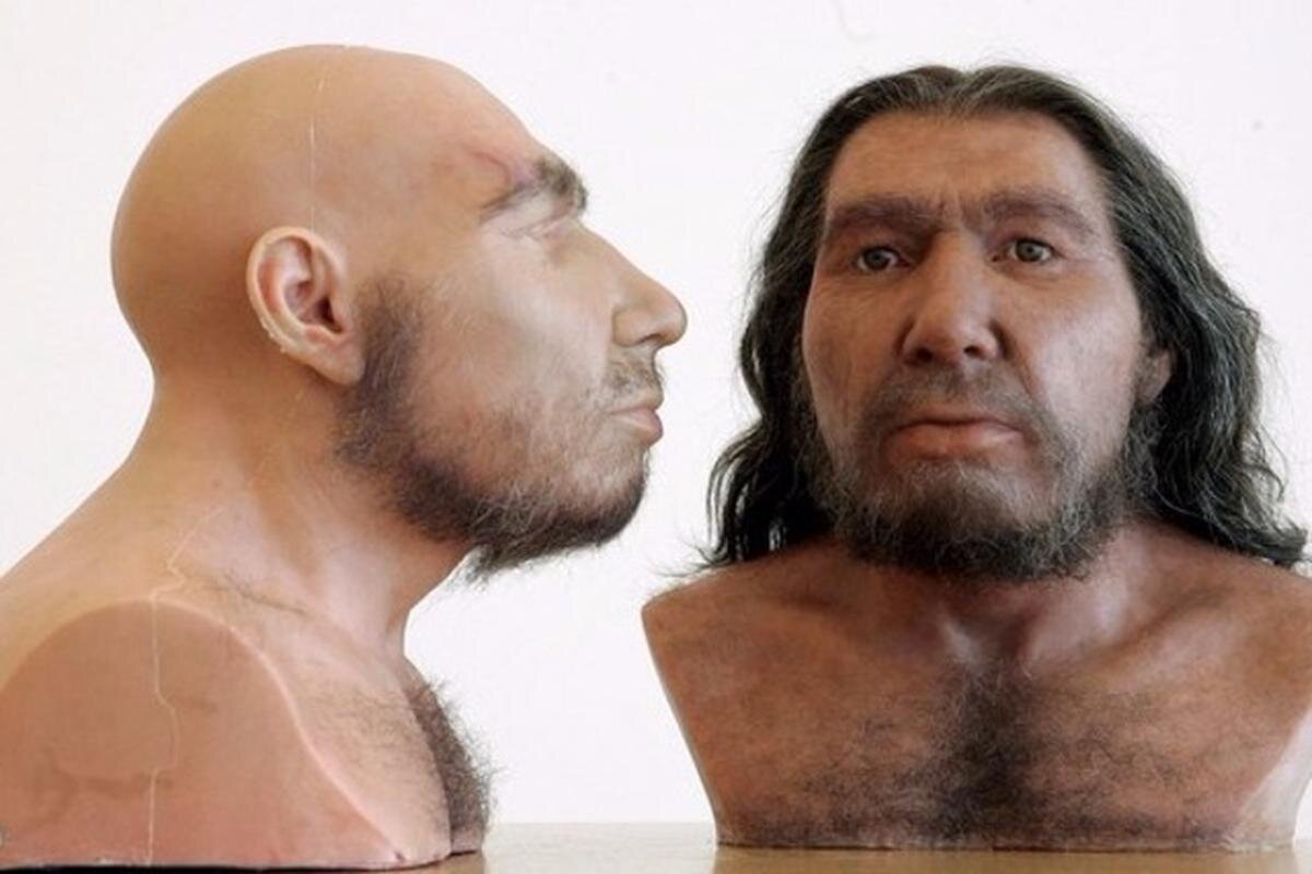 Неандерталец и хомо сапиенс скрещивались