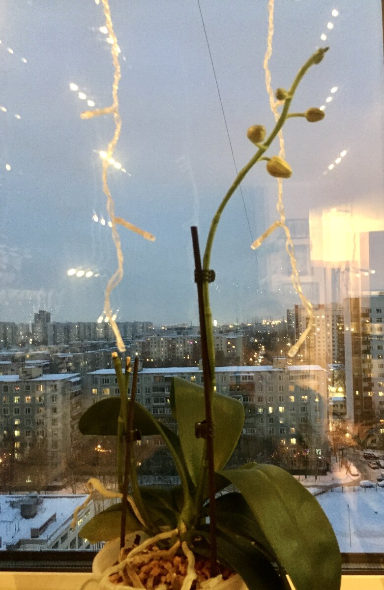 Равелло сейчас, листаем