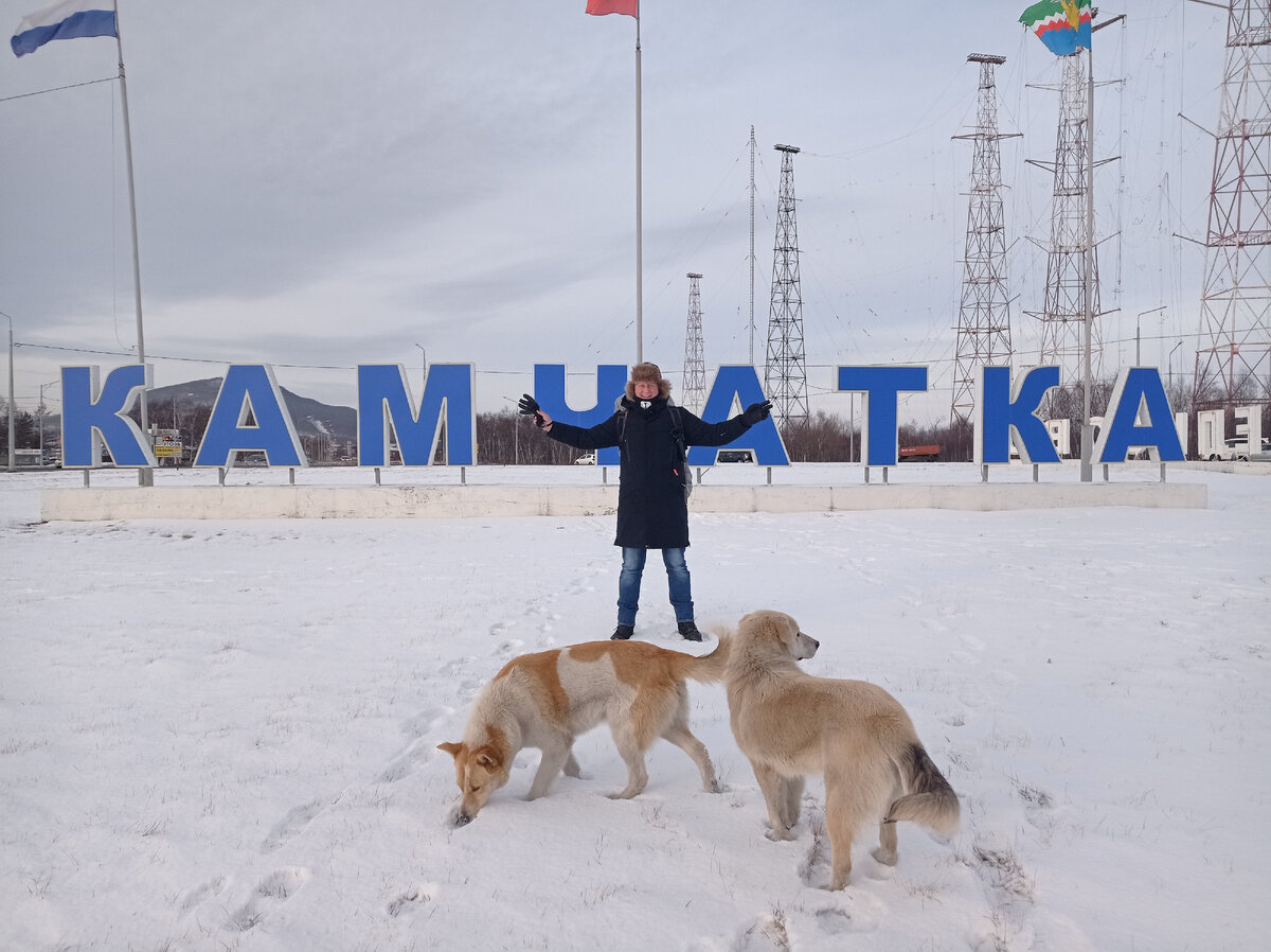 С приездом! 