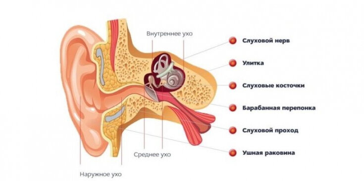 Почему закладывает уши