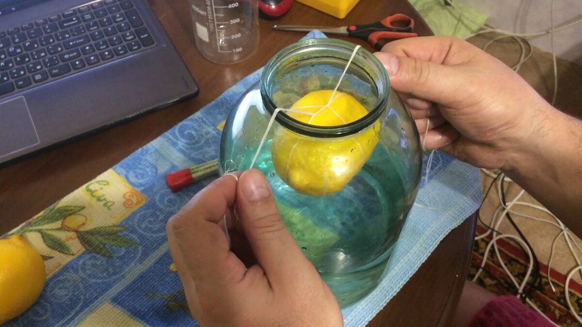 Самогон висельник на лимоне рецепт с фото