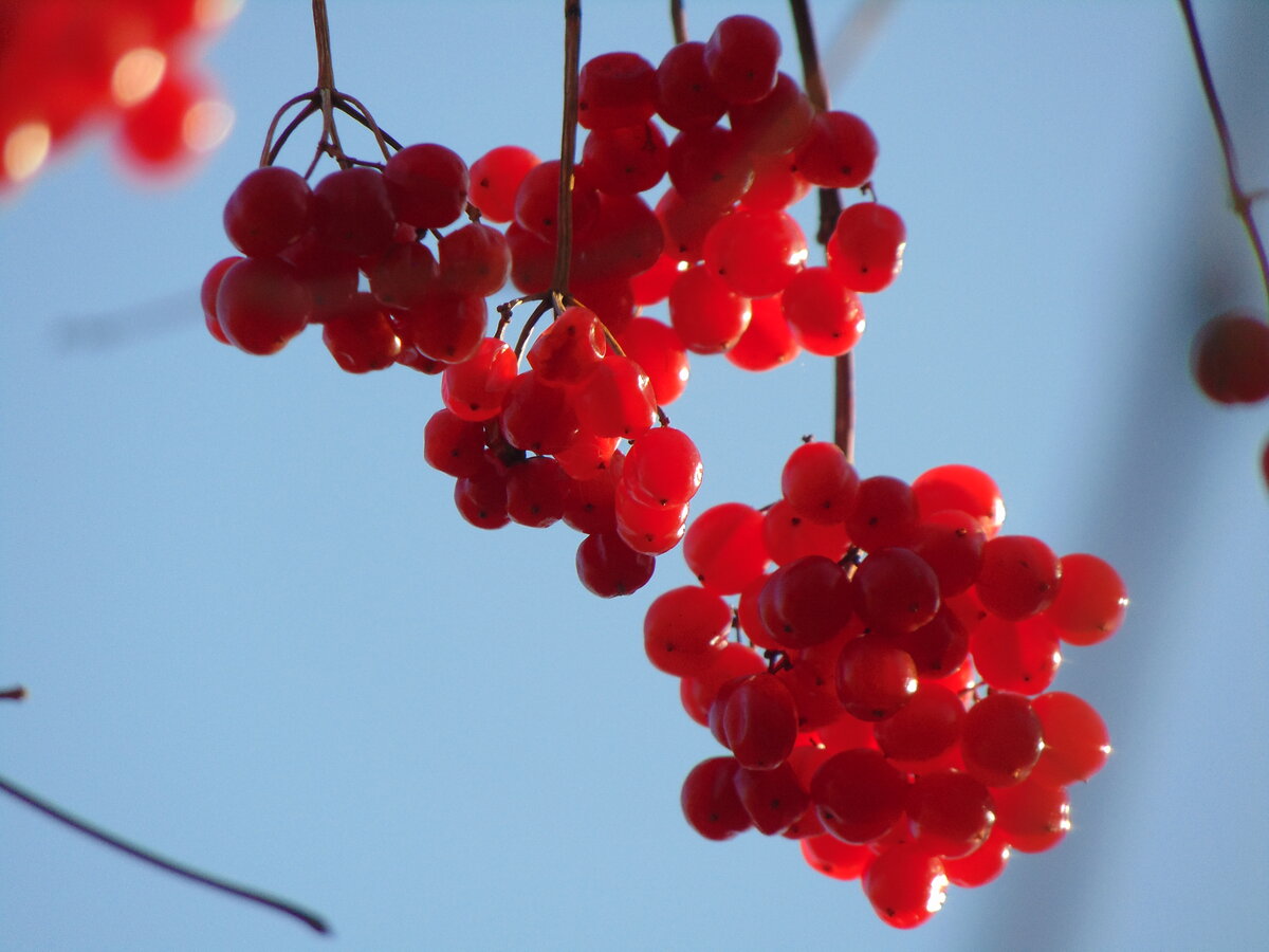 Фото автора канала