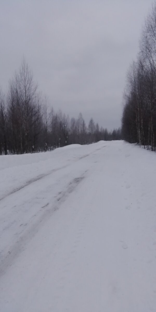 Зимник около остатков озера Кучино - точка старта. Фото автора.