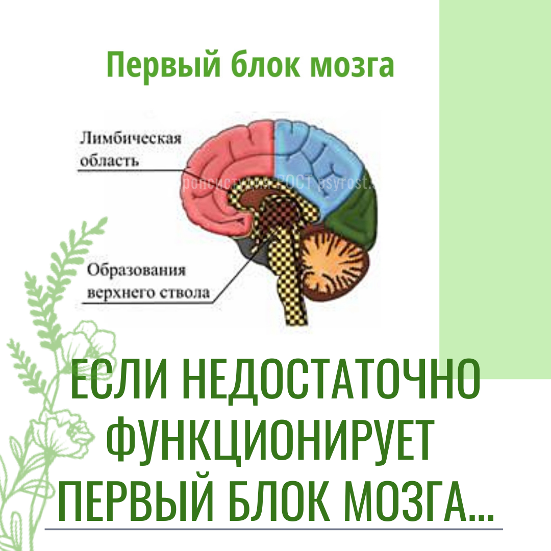 Дисфункция срединных структур головного мозга у детей