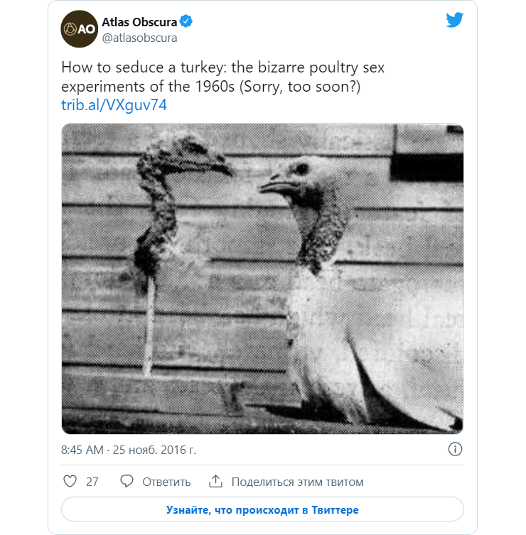 Скриншот: Atlas Obscura / Twitter📷
