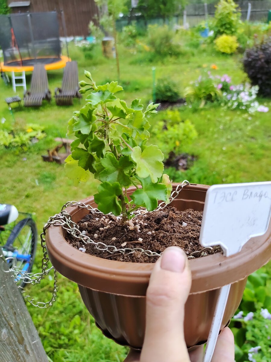 Тэсс Влада 19.07.2023