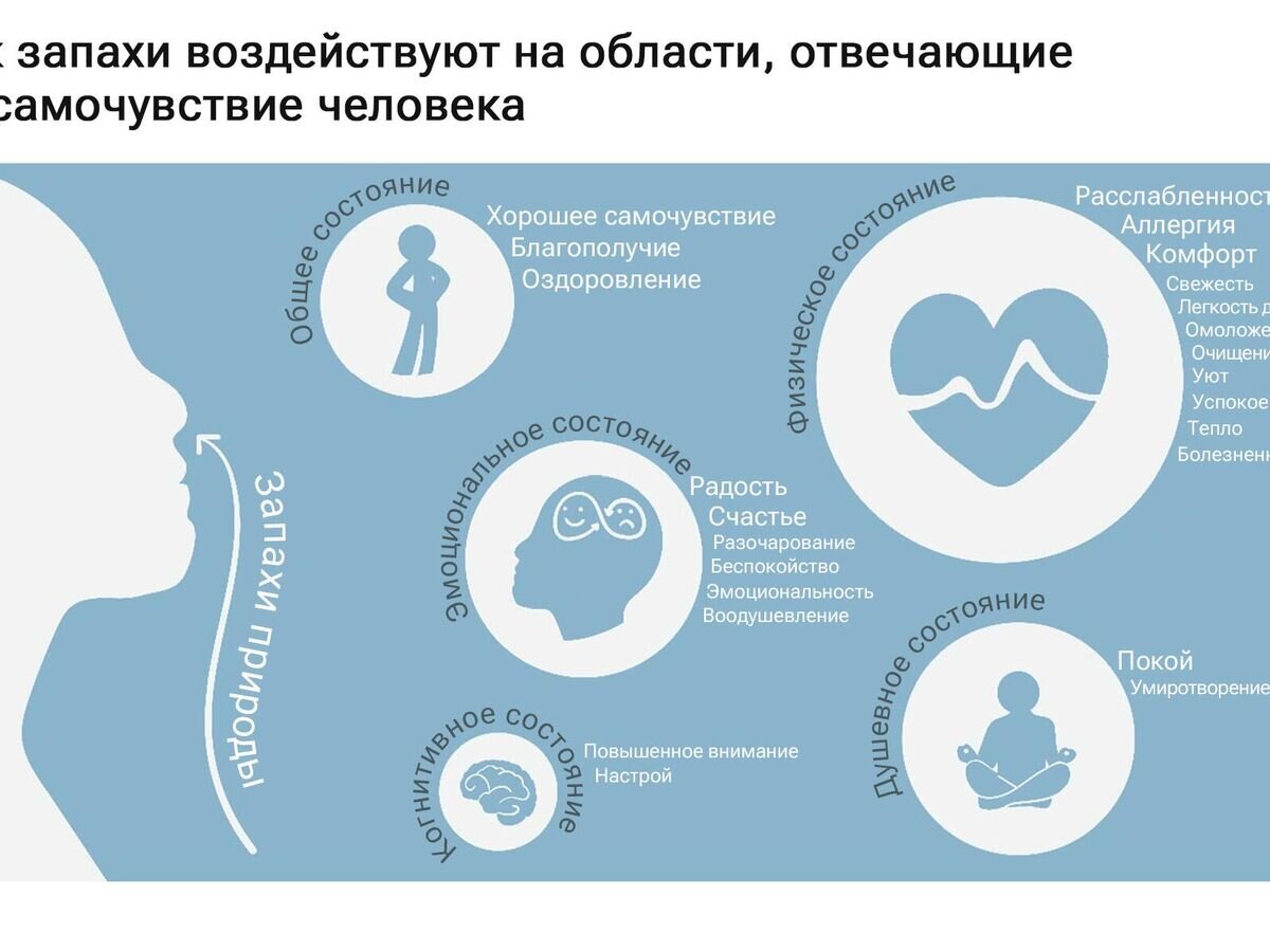 Узнайте о лучших ценах и клиниках по лечению астмы в 2024 году