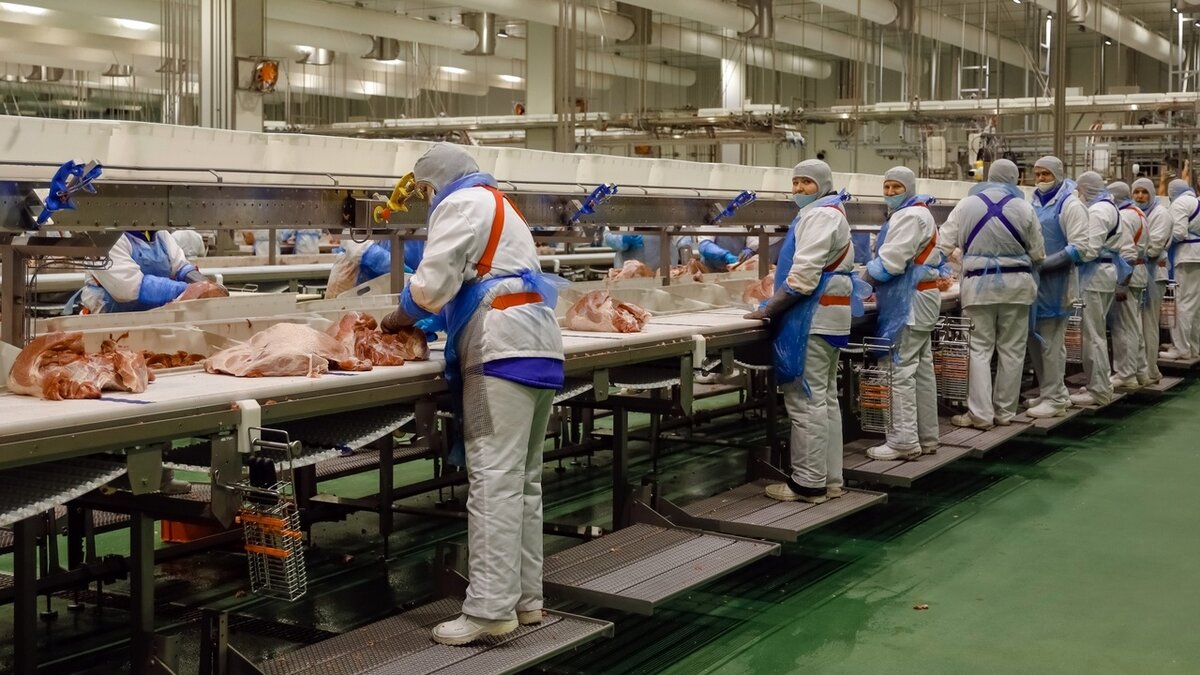    В Октябрьском районе Курской области предприятию "Мираторг" испонилось 3 года