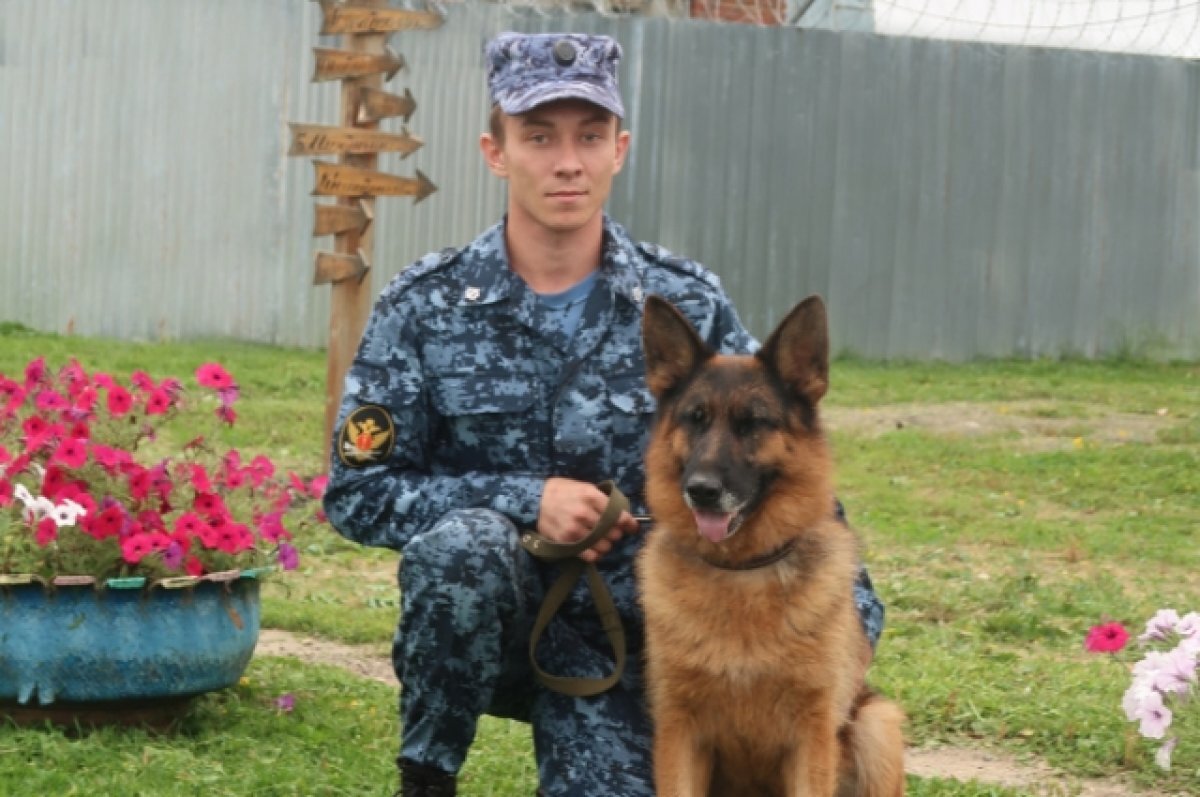    Кинолог и собака Урма спасли увязшего в болоте подростка в Лыскове