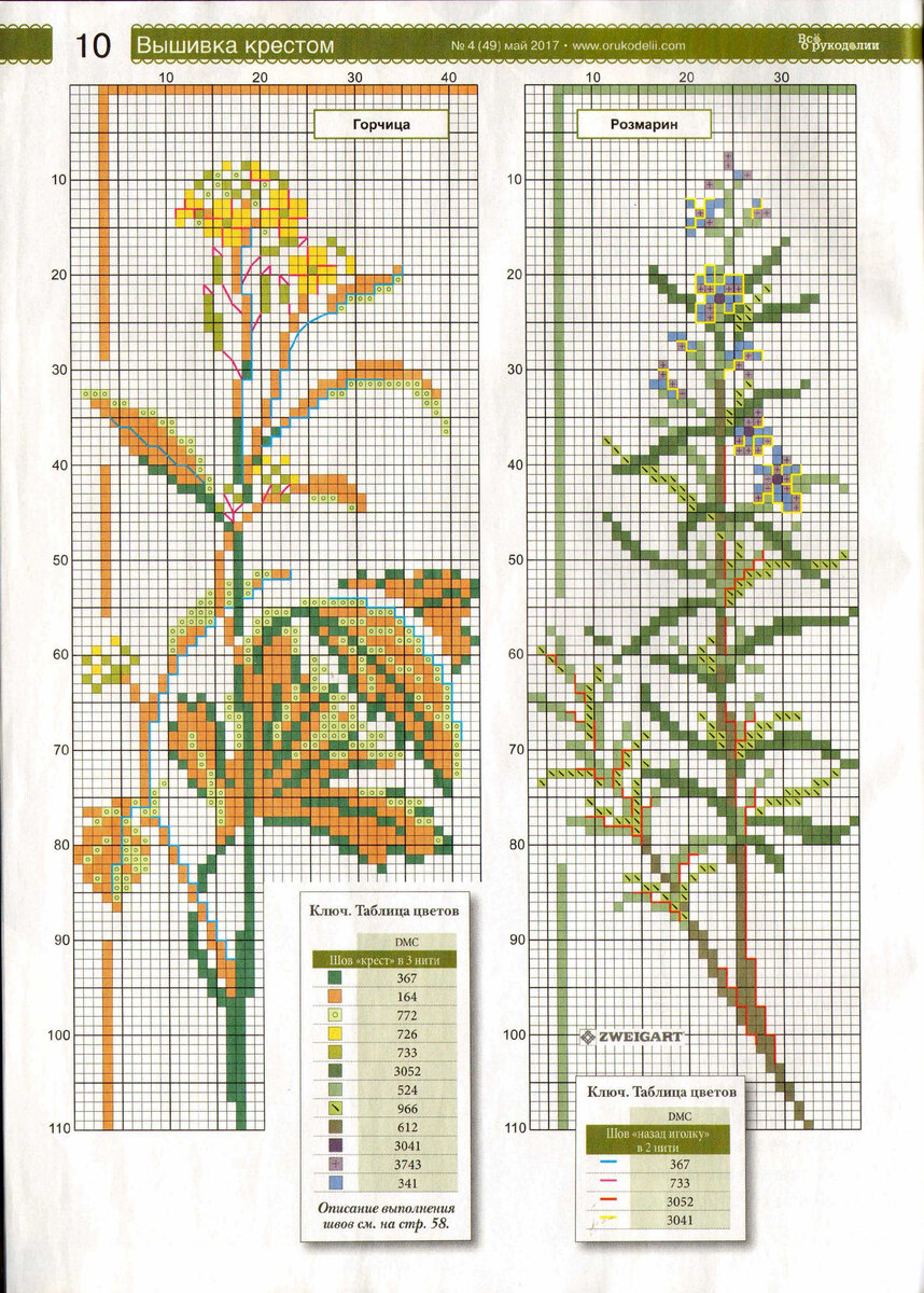 картинка из интернета