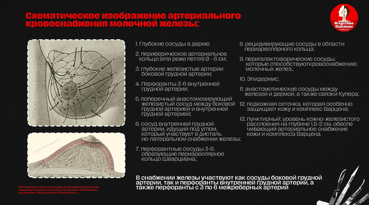 Заветная картинка с иллюстрацией сосудов МЖ 