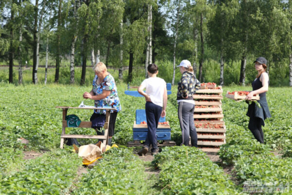    Фото: vologda-oblast.ru