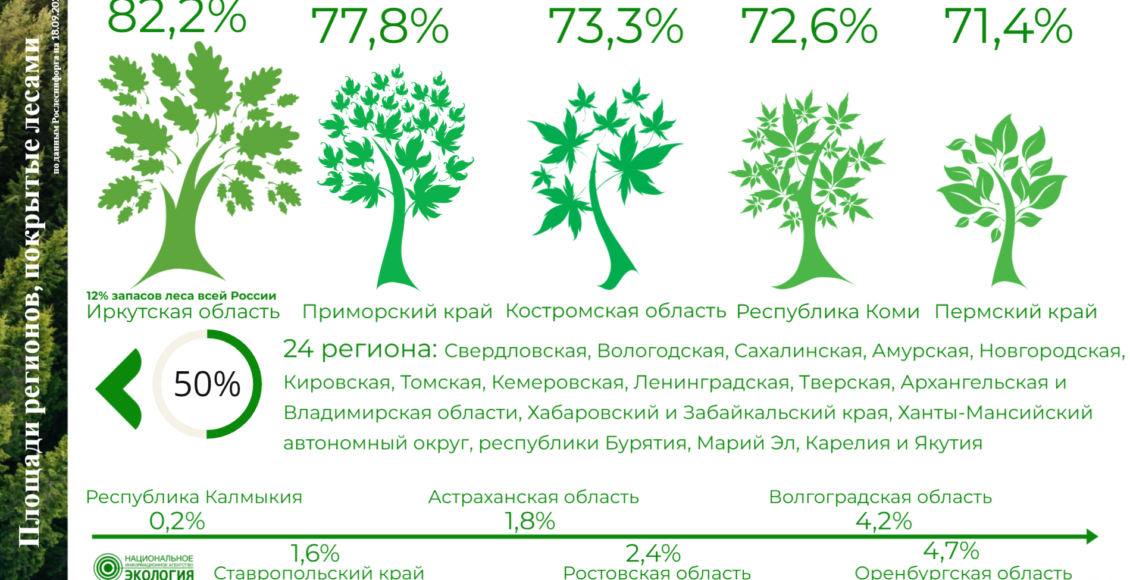    Инфографика: НИА "Экология" по данным Рослесинфорг
