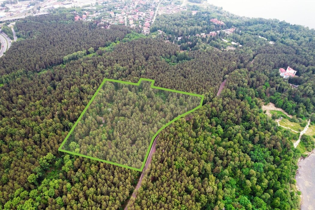 Фото: Дом.РФ Ольга Рамария  📷
