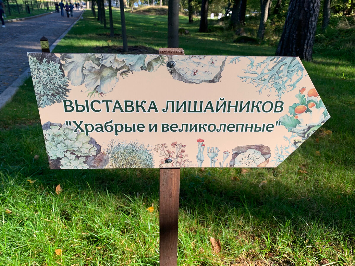 Нет, вы это видели? Храбрые и великолепные! Подруга-то с этим определением полностью согласна, а вот меня терзают смутные сомнения ))) 