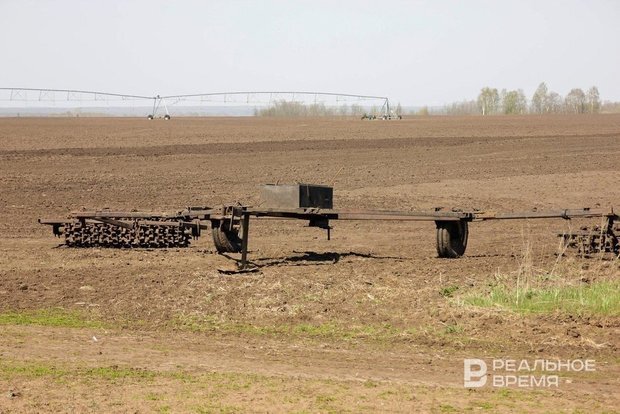 realnoevremya.ru/Илья Репин 