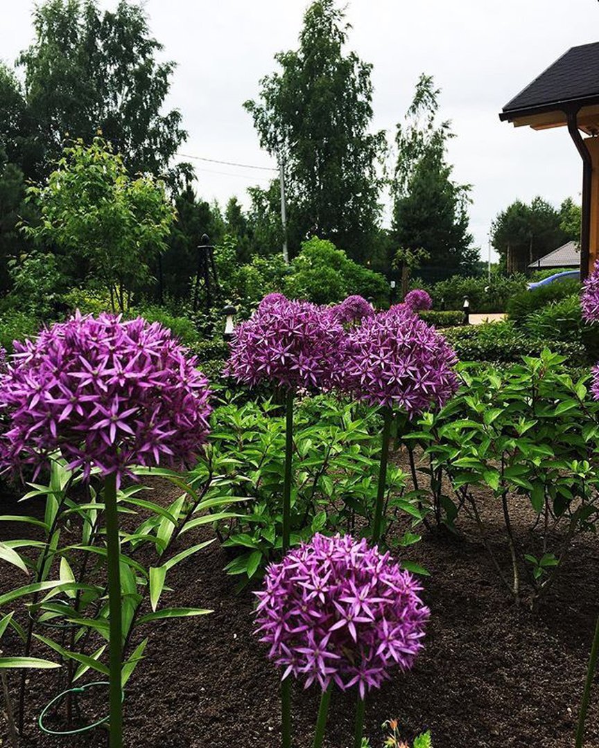 Фото: instagram.com/landscaperspb