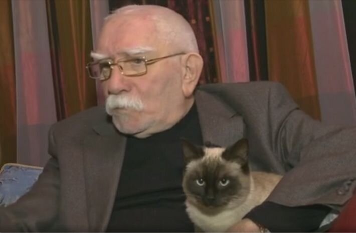 Кошка Армена Джигарханяна: интересные факты о питомце