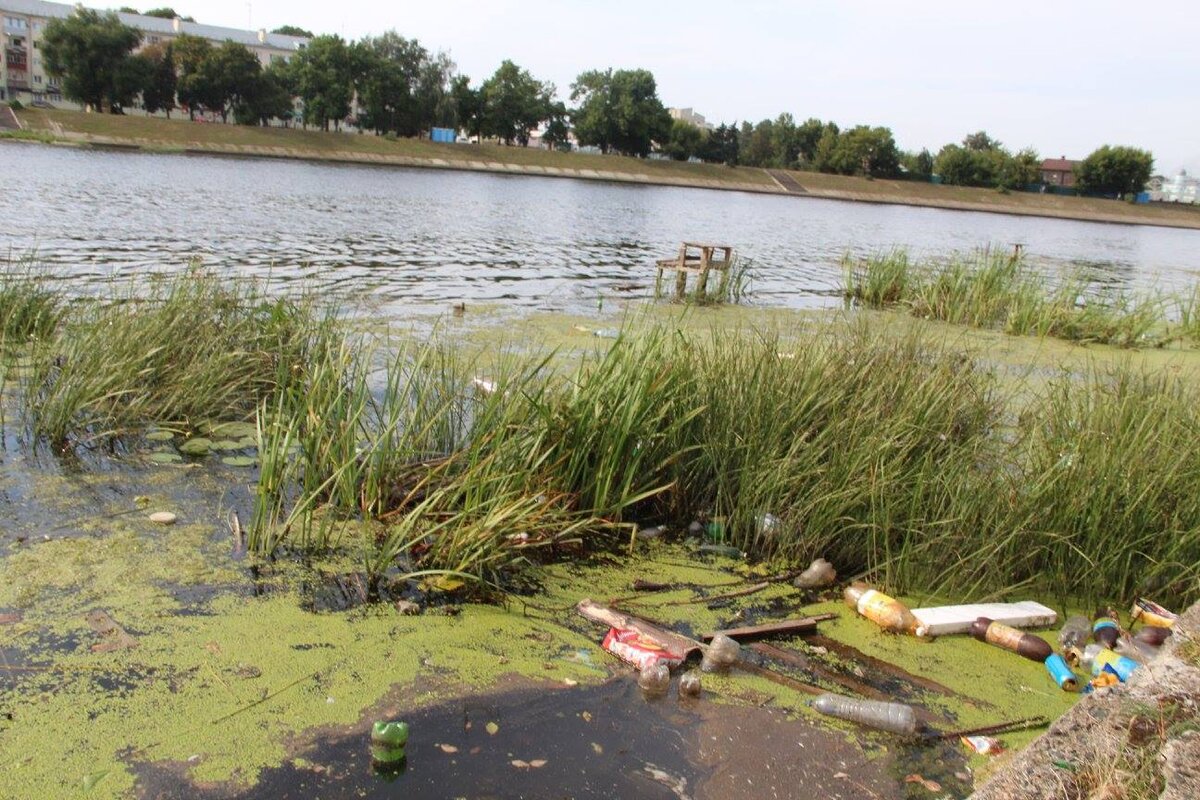 РЕКА СУРА ПРЕКРАСНА В ЛЮБОЕ ВРЕМЯ ГОДА