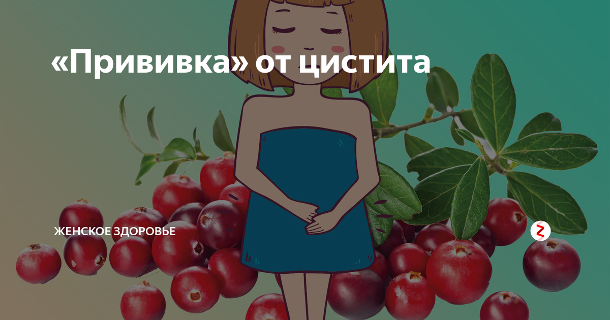 Прививка от цистита. Прививка от цистита