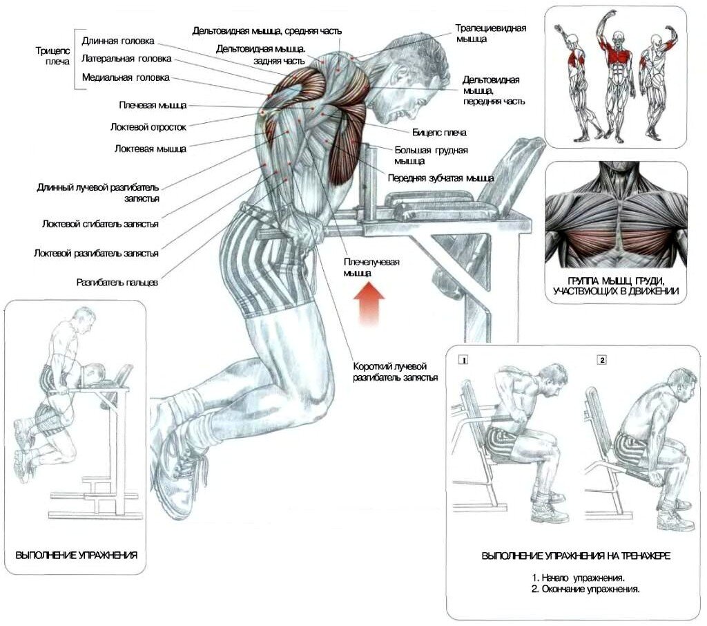 Комплексные упражнения на брусьях и турнике для новичков | RomaFitness |  Дзен