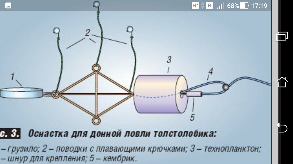 Схема снасти на толстолоба