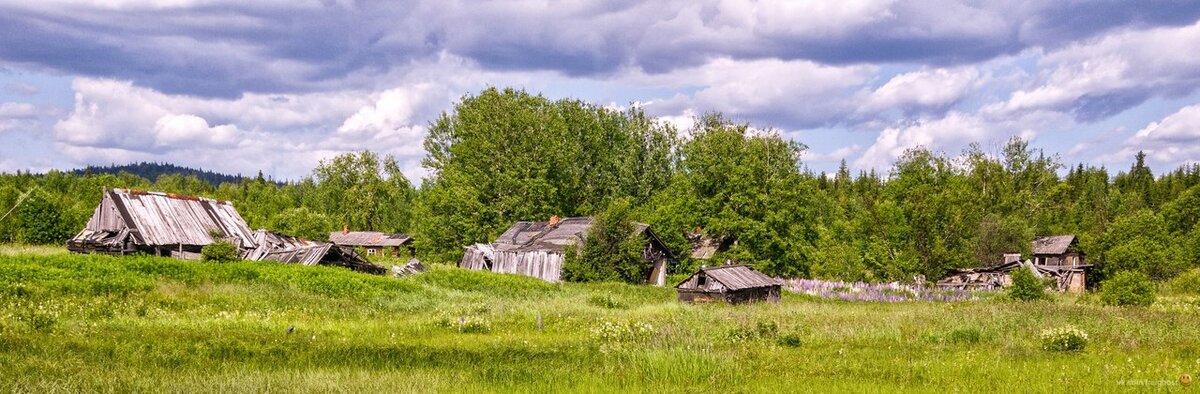 Село калиновка пермского края. Деревня Ослянка Пермский край. Большая Ослянка Пермский край. Большая Ослянка поселок. Посёлок большая Ослянка Пермский.