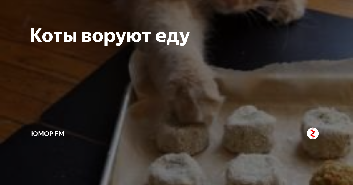 Украли кота. Коты воруют еду. Котик украл еду. Кот утащил пакет фото. Котики крадут твои лучшие годы.