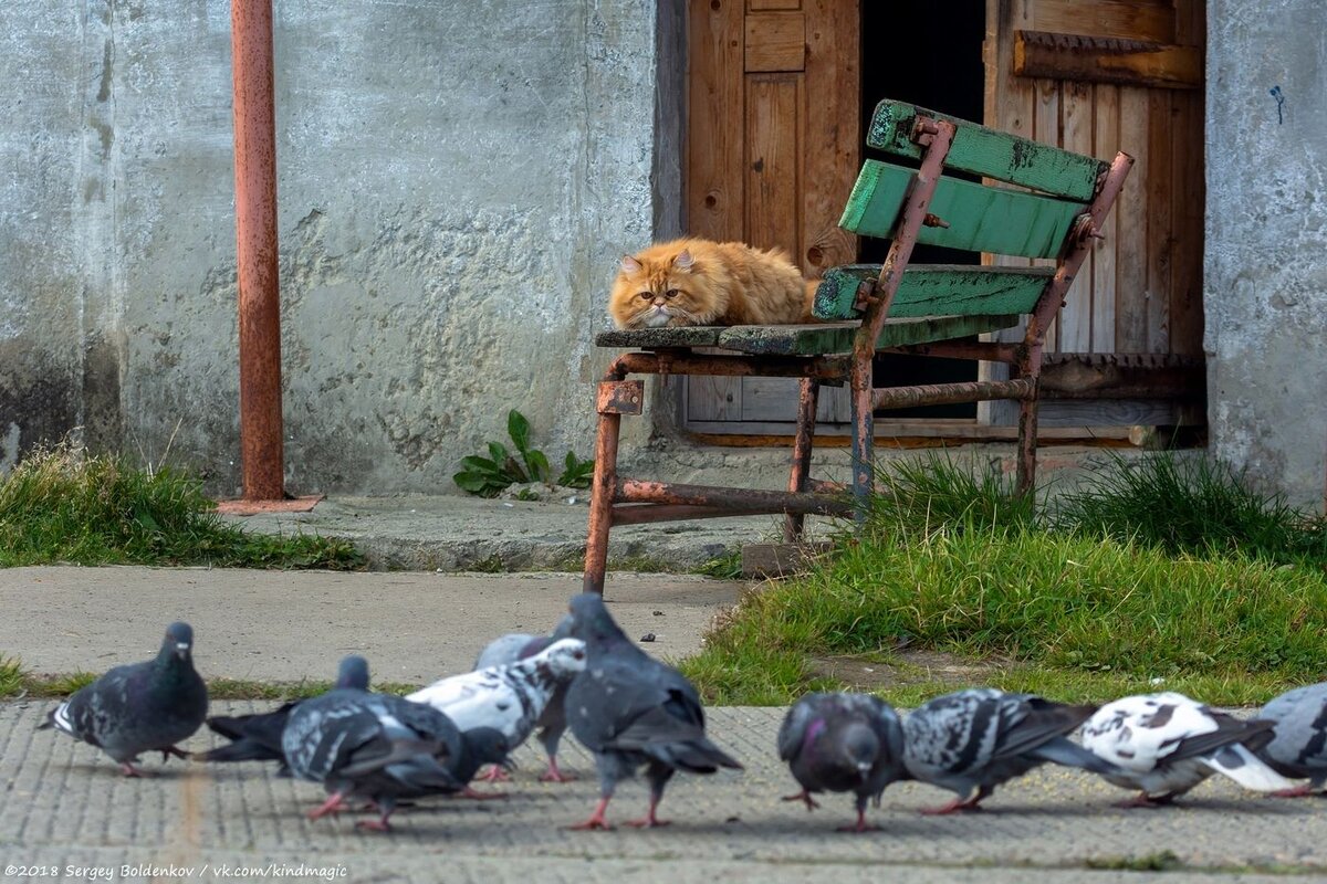 Фото: Сергей Болденков ©