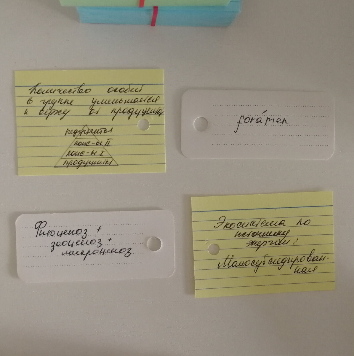 Вторая сторона