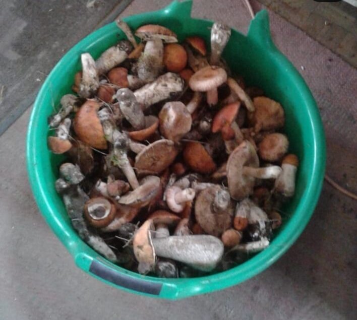 Собрали немножко грибов решили что то необычное сделать.