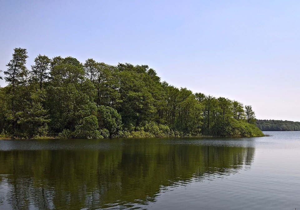 Фото: pixabay.com