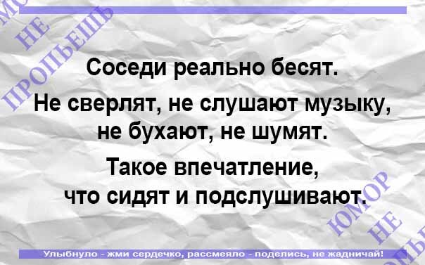 Костюм привет сосед детский. Привет сосед в реальной жизни. Бешеные соседи. Сосед реально. Цитаты про соседей.