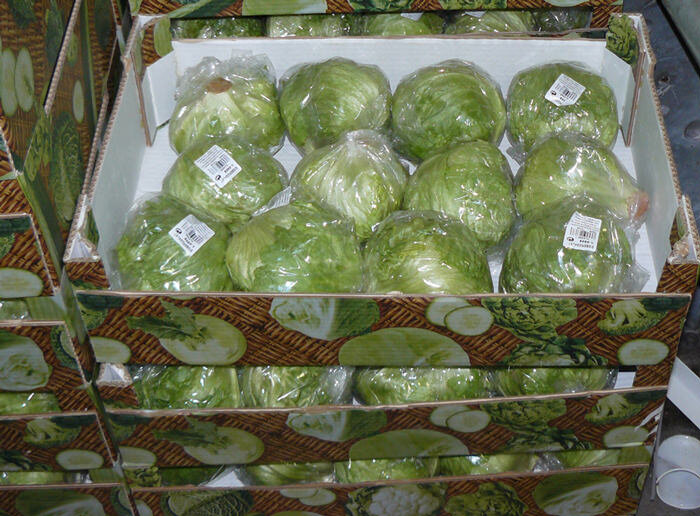 Подвальные помещения. Тара любая: стеллажи или коробки из картона. Каждый овощ нужно обернуть бумагой или пленкой для того, чтобы не было соприкосновения и плоды не загнили. Расположение кочерыжки вверху.