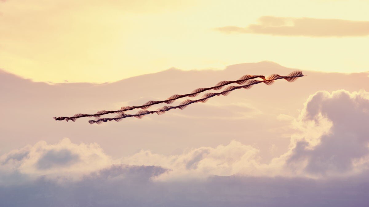 © Хави Боту (Xavi Bou)