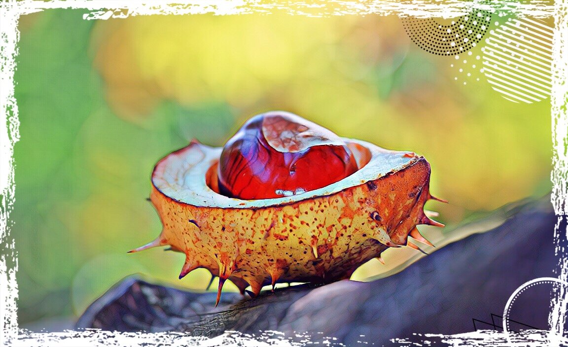 Фото: https://sovety-domu.ru/category/sad-ogorod/