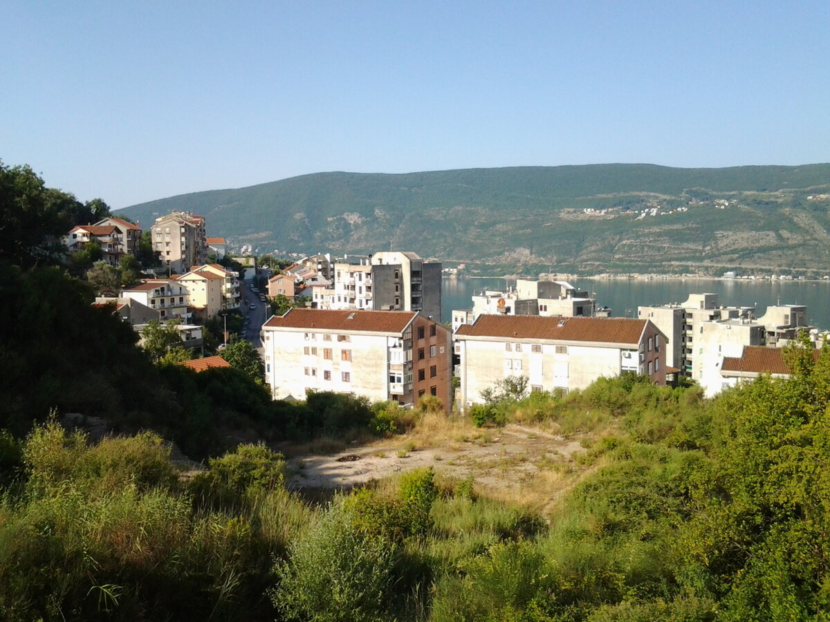 Фото из личного архива. Так город выглядит летом.