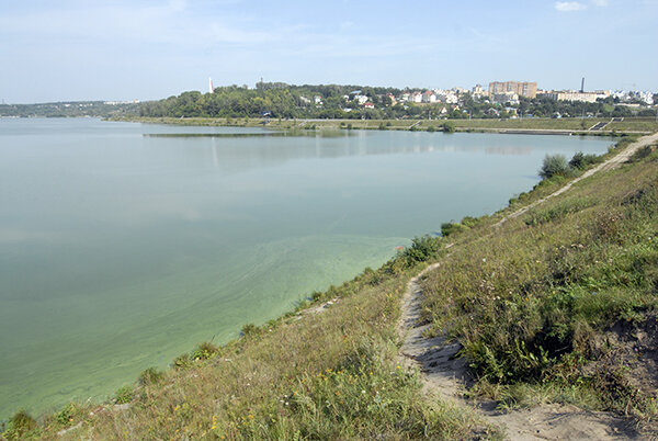 Калуга море
