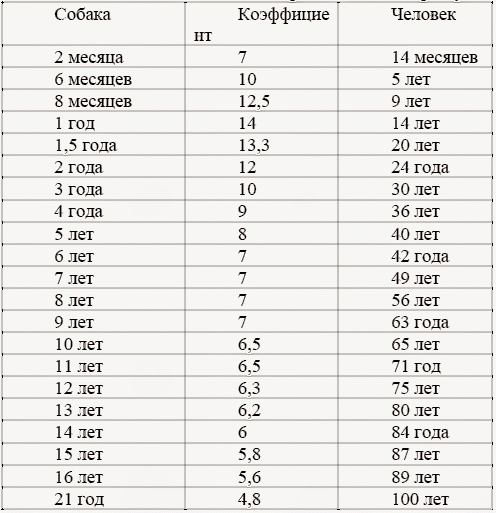 Соотношение возраста собаки и человека. (источник: поиск-яндекс)