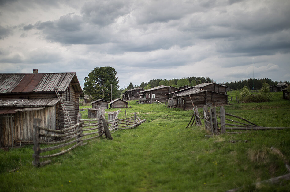 фото из Сети