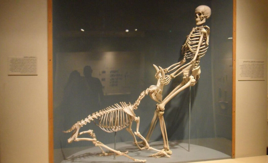 Вполне возможно - древний историк.