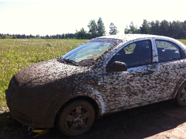 Оригинал № 1