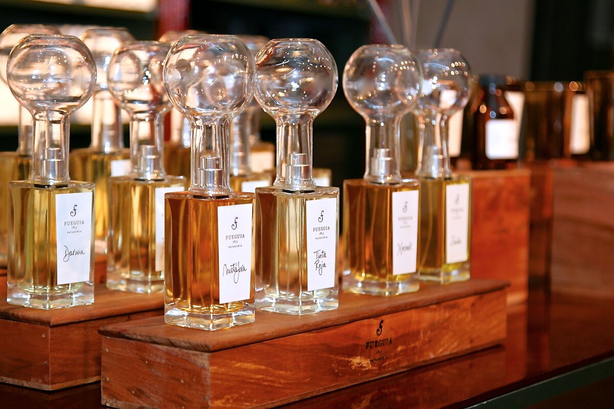 фото с сайта http://www.sobaka.ru/