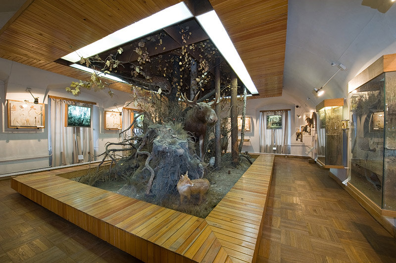 калуга музеи кревеческа. калужский областной краеведческий музей. новоскаково музей калужская область. калужский музей изобразительных искусств калуга. калуга музеи кревеческа.