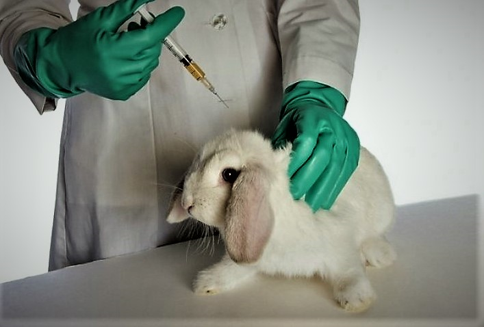 Источник: Яндекс.Картинки