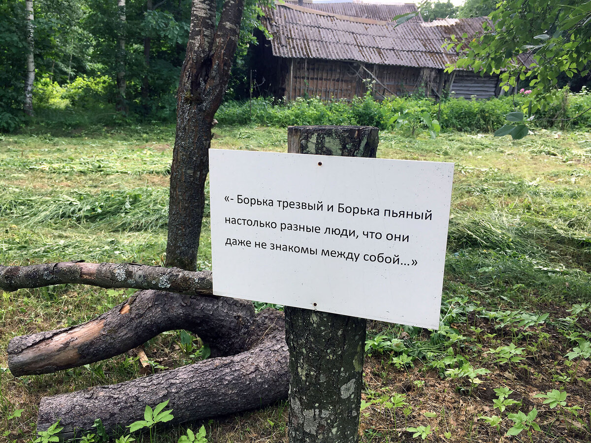 Старый, покосившийся столетний дом в псковской деревушке: Дом Довлатова в Пушкинских  Горах | BigPIKCHA.ru | Дзен