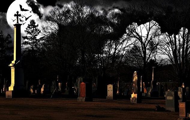 фото: Яндекс. Картинки