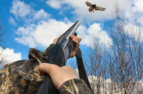 Из источников в свободном доступе