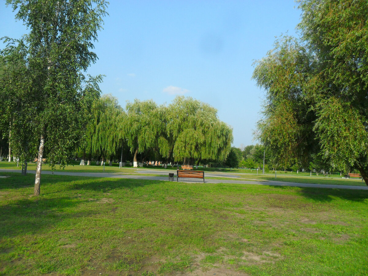 Фото автора(парк Фестивальный)