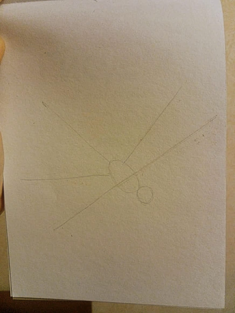 контуры крыльев стрекозы